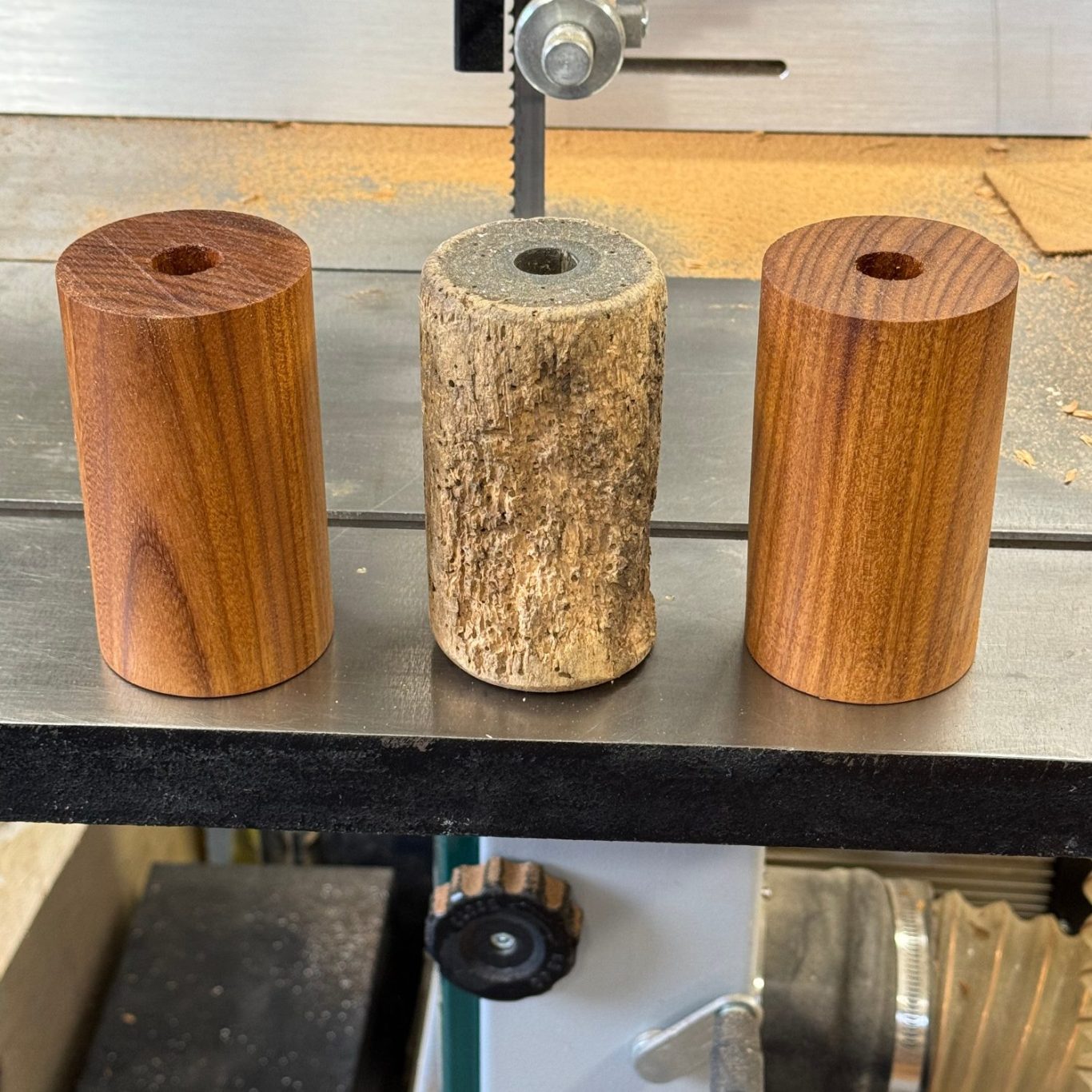 Three cylindrical wooden blocks of varying textures and colours, displayed in a row.