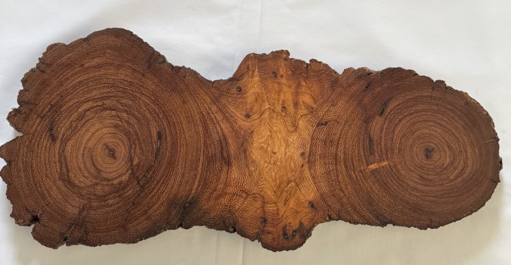 A wooden slab with visible growth rings and a smooth, polished surface.