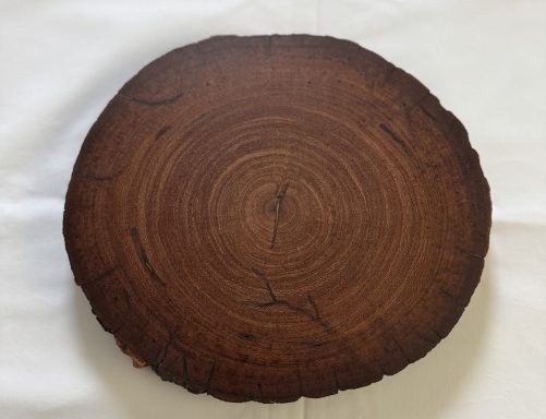 A circular wooden slice with visible growth rings and a smooth, polished surface.