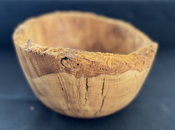 Natural wooden bowl with a rough, rustic edge and smooth interior.